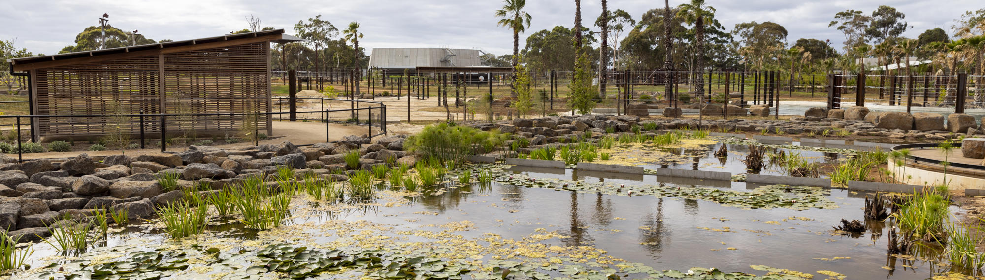 A view of the new Elephant Trail, towards the Elephant Barn, beneath an overcast sky.
