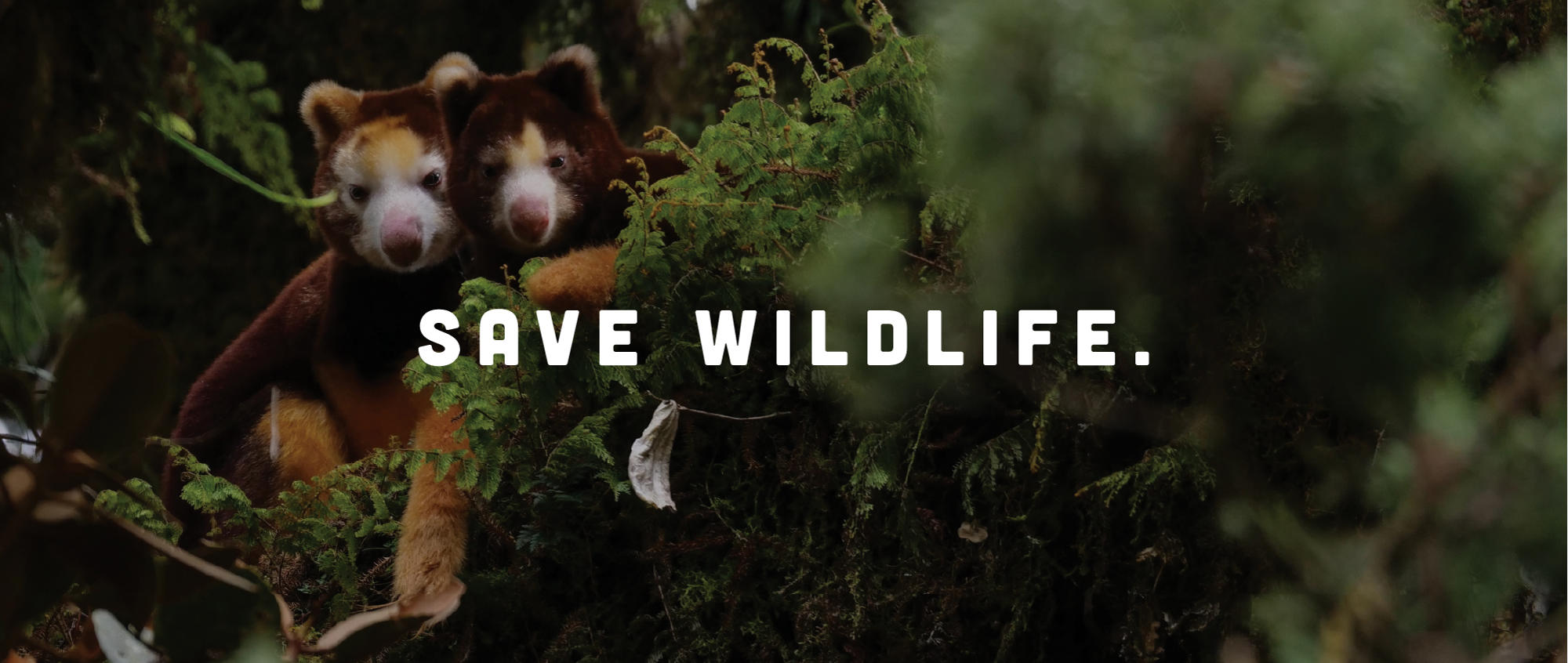 "Save Wildlife": Two Tree Kangaroos sit side-by-side in a bush behind the slogan.