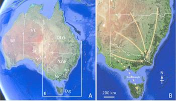 A map of Victoria, Australia showing the Bogong Moths' annual migration route from NS and SA down to Victoria's alpine region