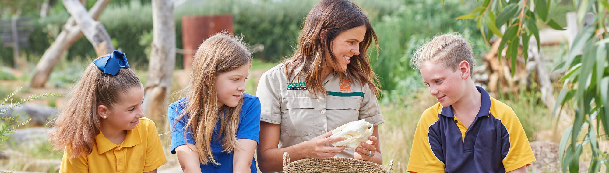 A Zoo keeper sits with a group of three young children dressed in school uniform, as they inspect a basket containing some animal bones.