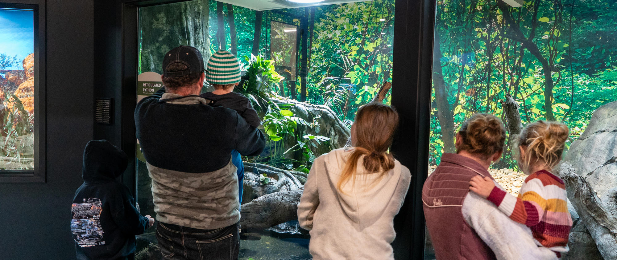 Six guests look inside the Reticulated Python's terrarium in the Reptile House.