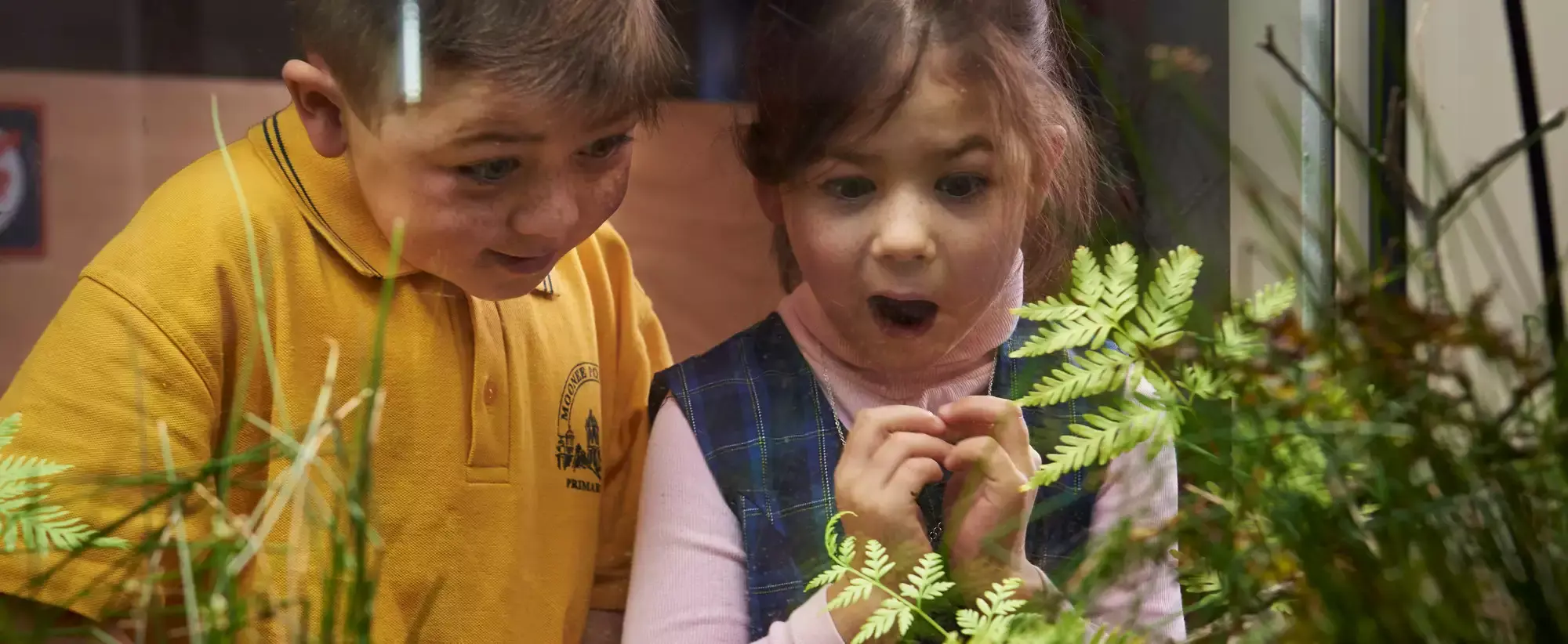 Two young students excitedly into a tank that houses Corroboree Frogs.