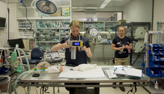 Two Veterinarians examining Fergi, the Long-Billed Corella, in the surgery room.