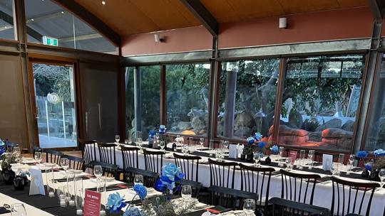 Two long tables set up with chairs on either side, white table cloths and blue flowers atop the table. Inside shot.