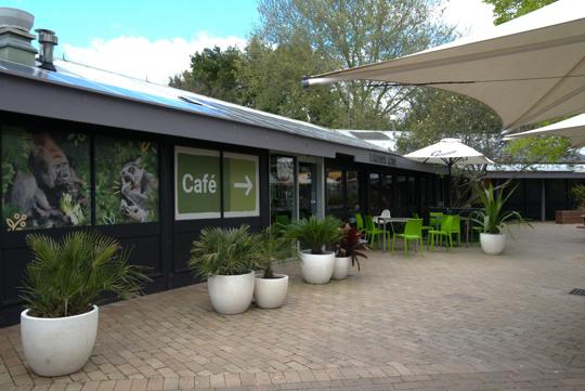 View of the Lakeside Café from the Kiosk Plaza.
