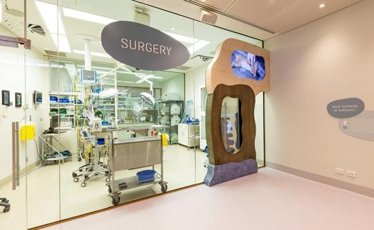 A Surgery Room of the Australian Wildlife Health Centre, seen from behind a glass window.