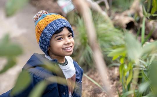 Boy Looking At A Bird