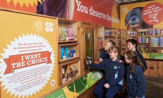 Four children in school uniform sit at an indoor interactive space using a scanner to scan the barcodes of supermarket items