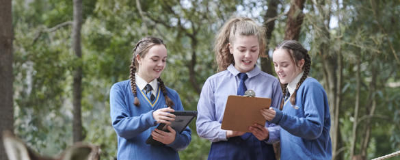 Group of students in blue school uniforms doing fieldwork with clipboards, by examining the Kangaroos.