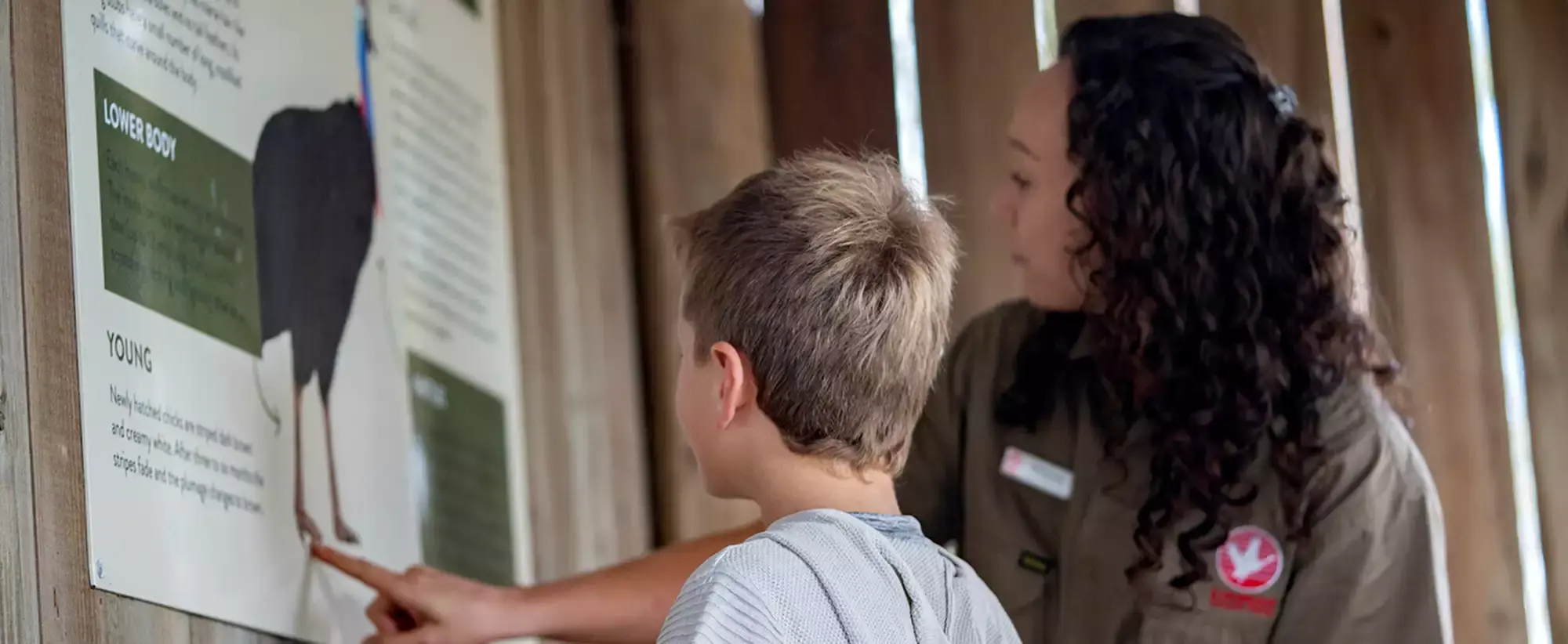 A young guest and Keeper look a poster for the Southern Cassowary.