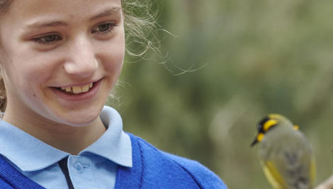 A grinning school student looks at a Helmeted Honeyeater, sitting on a branch in front of her face.
