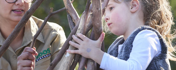 A young student holds a pile of sticks as she's helped by a Zoo staff member.