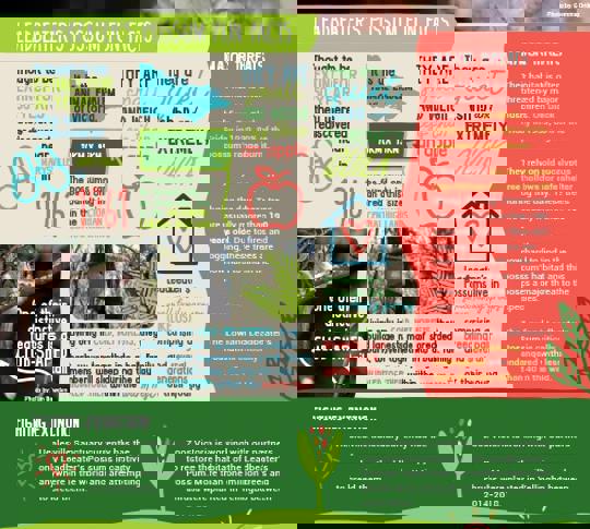 Image of leadbeater's possum fun facts