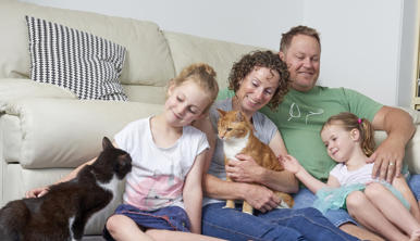 A family of four sitting in front of a couch patting two cats and smiling.