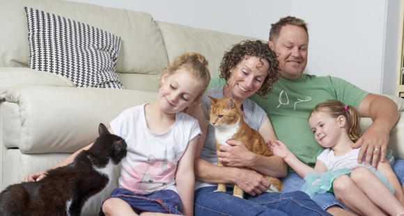 A family of four sitting in front of a couch patting two cats and smiling.