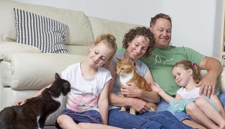 A family of four sitting in front of a couch patting two cats and smiling.