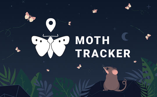 "Moth Tracker": illustration of a Mountain Pygmy-Possum watching nine Moths flutter by at night.