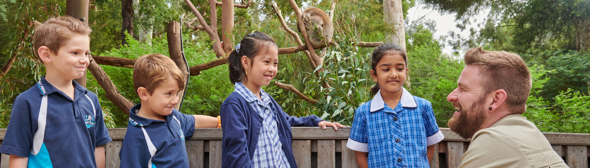 Four young school students in uniform smile while while listening to a Zoo staff member, who is crouched down in front of a Koala exhibit.