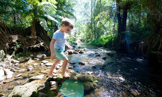 A boy walking right across the shallow Creek at Healesville Sanctuary.