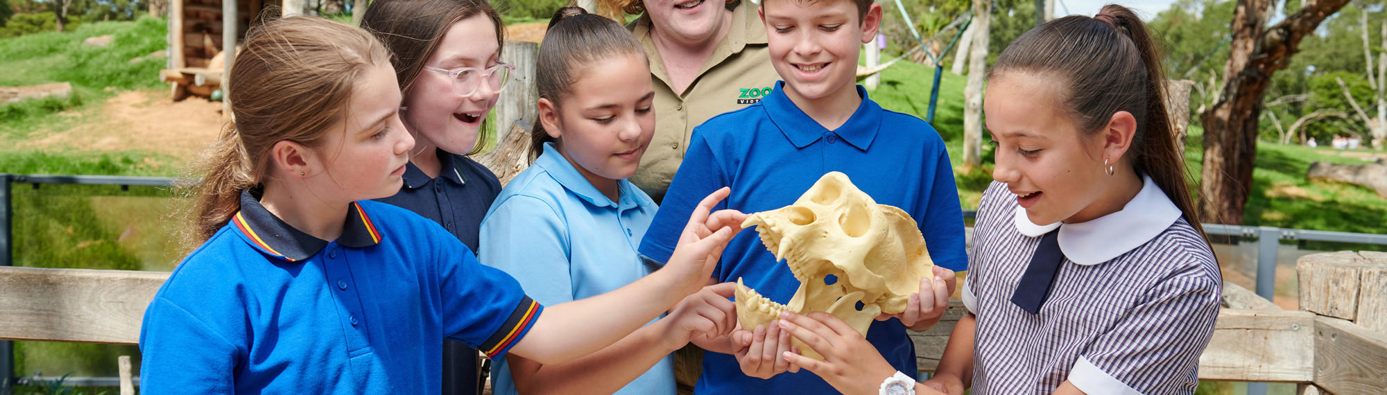 A group of students in blue school uniform handle an ape skull.