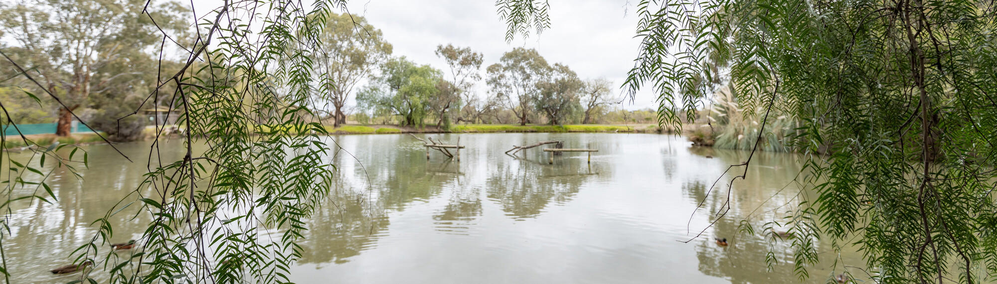 A wide-angle view of wetlands lined by trees at Kyabram Fauna Park.