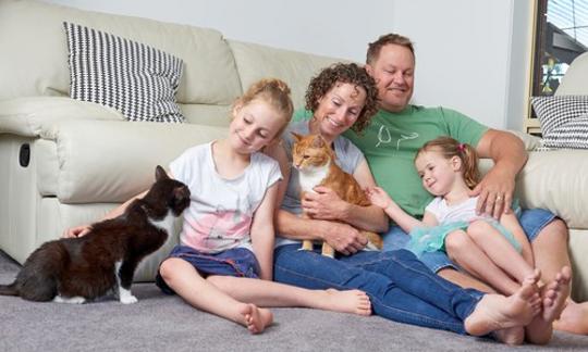 A family of four sit on the floor in a lounge room with an orange, tabby cat and black cat.