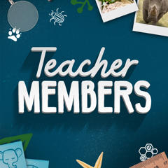 "Teacher Members": surrounding this logo are a magnifying glass, sharpener, illustrated beetle, photos of a Frog and Rhinoceros, ruler, starfish and illustrated faces of a Koala and Elephant.