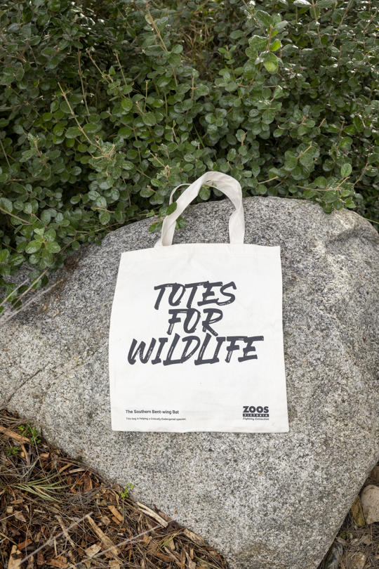 Totes for Wildlife, Southern Bent-wing Bat. Image of front and back designs.