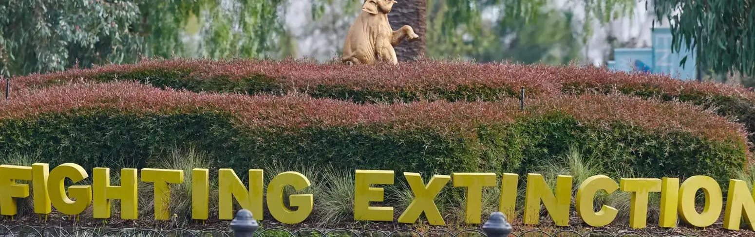 "Fighting Extinction": This chartreuse logo is below the gold Elephant statue and rose bush.