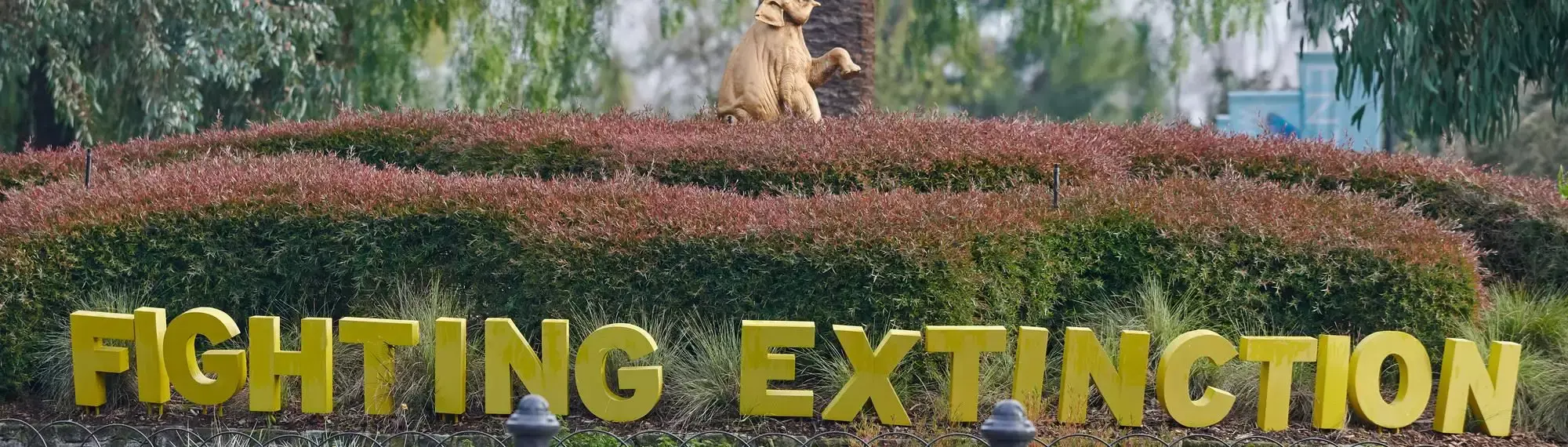 "Fighting Extinction": This chartreuse logo is below the gold Elephant statue and rose bush.