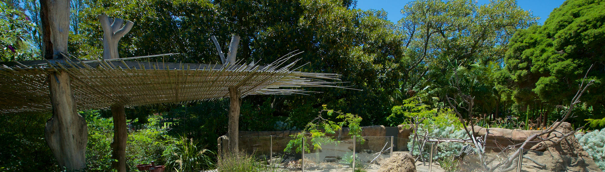 A view of the Growing Wild Bamboo Shelter, next to the rear Meerkat habitat, in the sunshine.