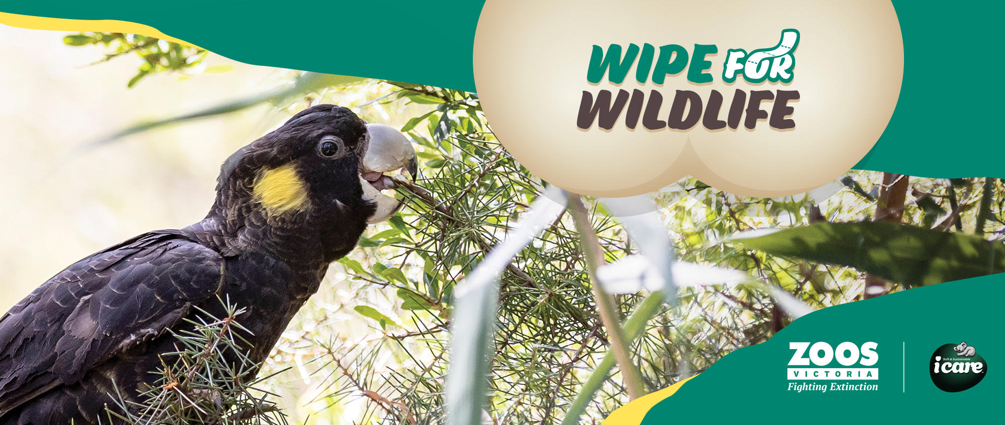 "Wipe For Wildlife" - A Yellow-tailed Black-Cockatoo eating on a branch is to the left of the logo.