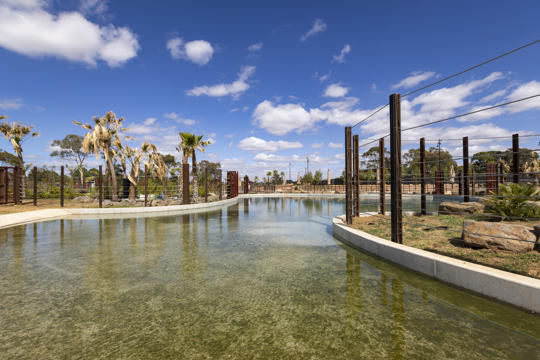 View of the new Elephant Precinct's pool, beneath a partly cloudy sky.