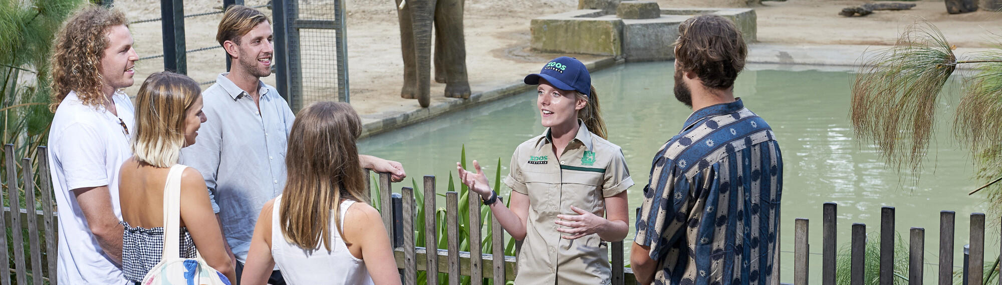A Zoo keeper stands in front of the Elephant habitat, speaking to a group of five young adults.