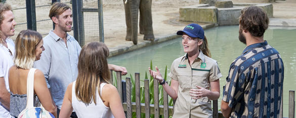 A Zoo keeper stands in front of the Elephant habitat, speaking to a group of five young adults.