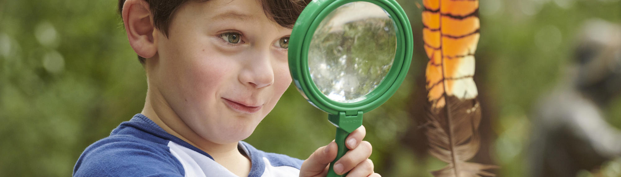 Kinder Kid examines a brown-and-orange feather with a green magnifying glass.