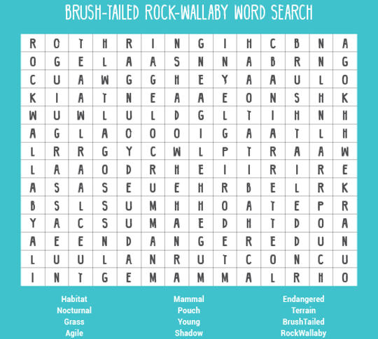 image of Brushed-tailed Rock-wallaby word search