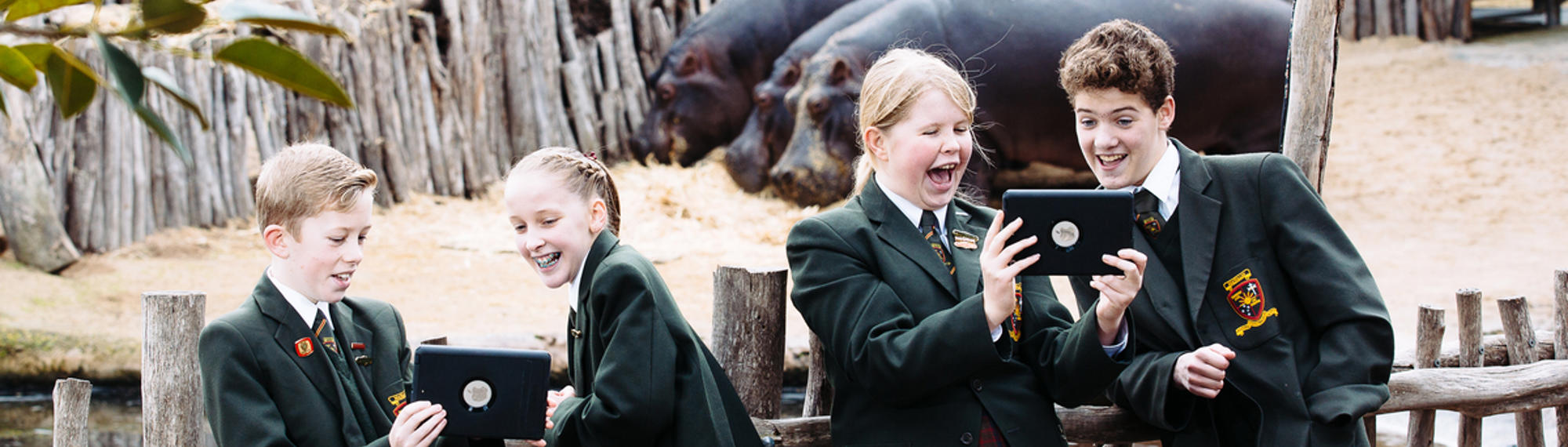 Four students with two tablets in front of three hippopotamuses.