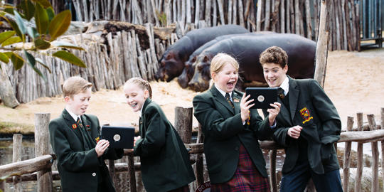 Four students with two tablets in front of three hippopotamuses.