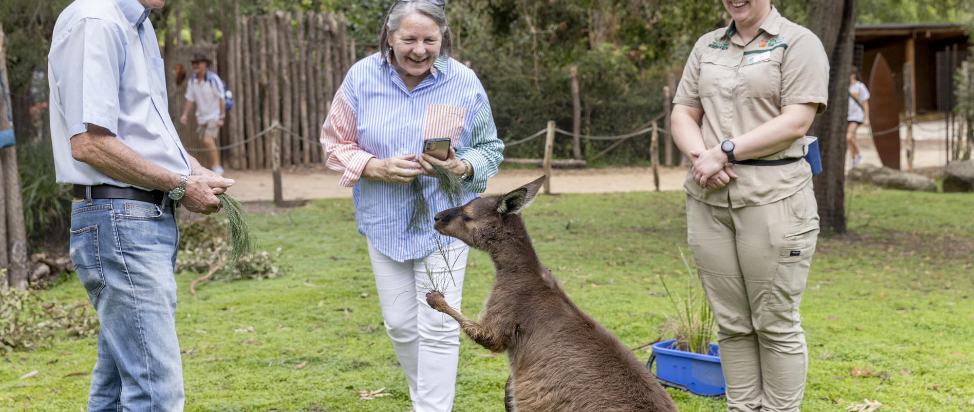 Two older visitors enjoying the Kangaroo Experience, looking at a Kangaroo up-close with a Keeper next to them