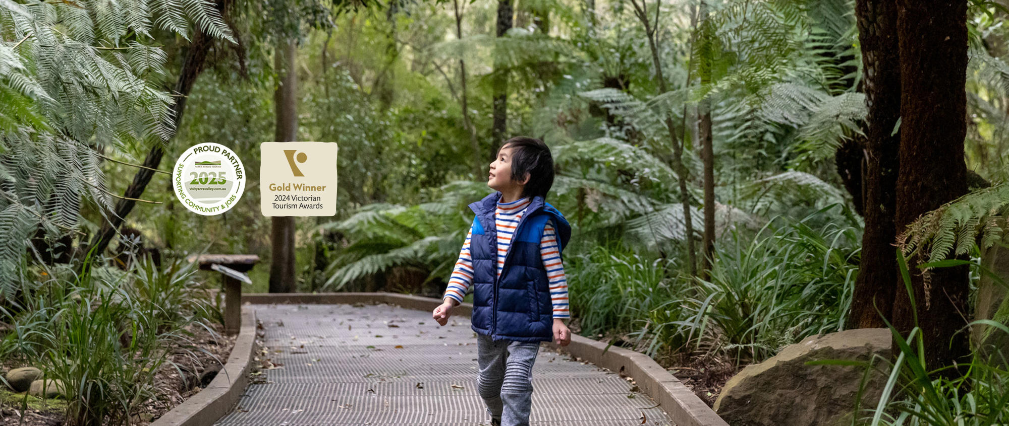 "Proud Partner, Yarra Ranges Tourism, Two-thousand Twenty-five"; "Gold Winner, Two-thousand Twenty-four Victorian Tourism Awards" - Young guest wandering through Koala Forest, looking right and up in awe.