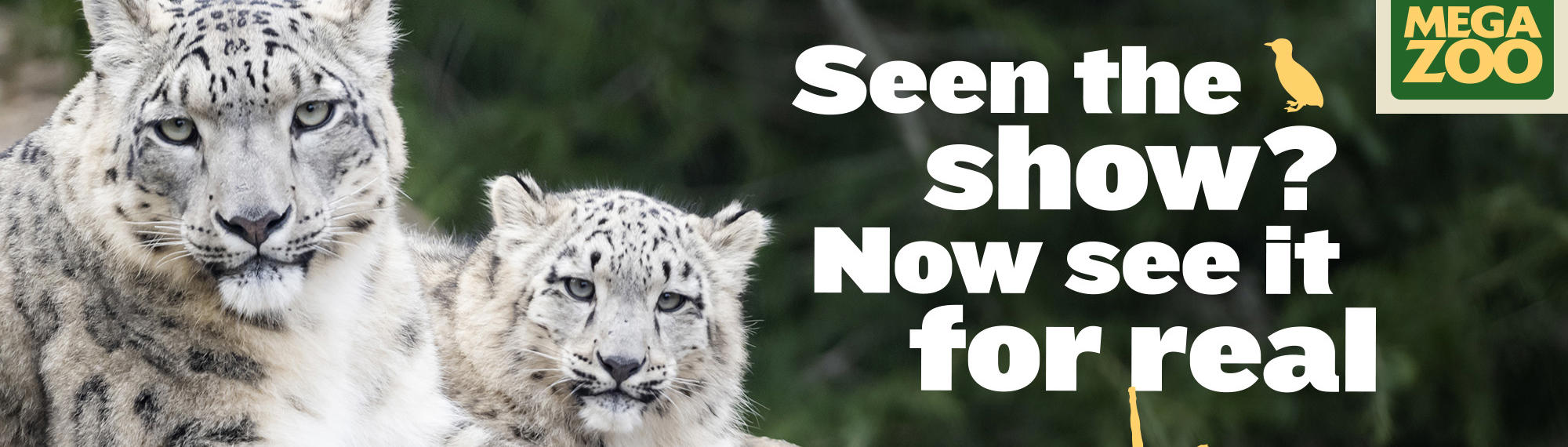 "Seen the show? Now see it for real; As seen on Channel 9's Mega Zoo": Two Snow Leopards on a rock with the text to the right