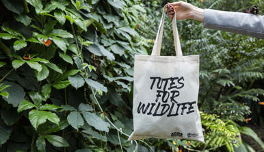 A tote bag with the text "Totes for Wildlife" on it, being held up by a right arm, in front of trees inside the Butterfly House.