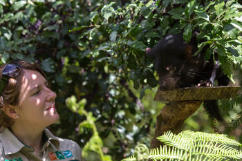 Proud keeper, Monika Zabinskas, watches as Tasmanian Devil "Mulana" stands on a platform