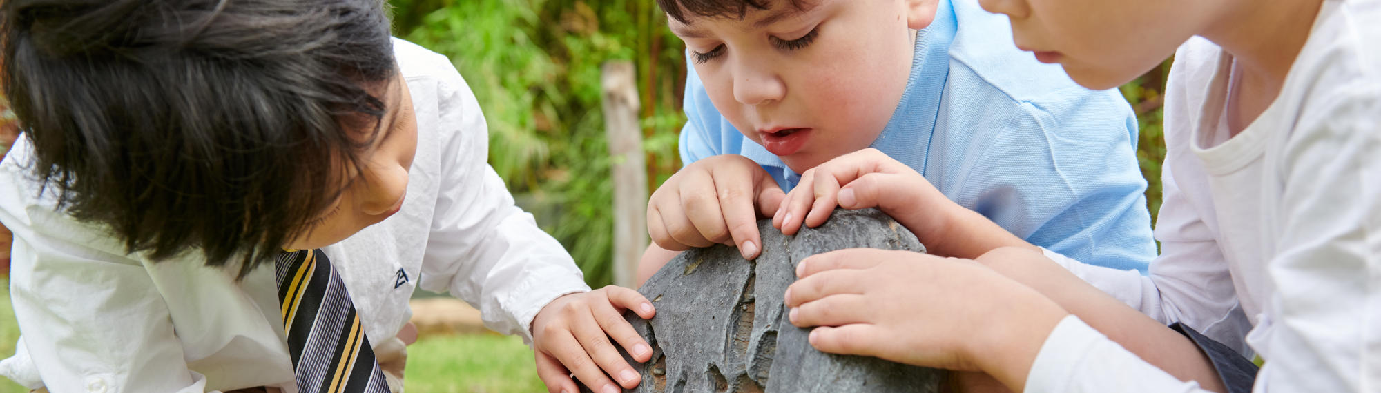 Three students looking at a wood closely to find species