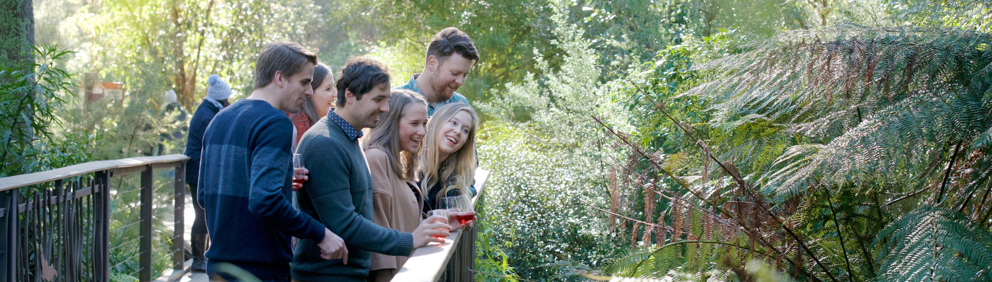 A Group Of People Posing On A Bridge With Wine Glasses, Looking At The Rain Forest Below.