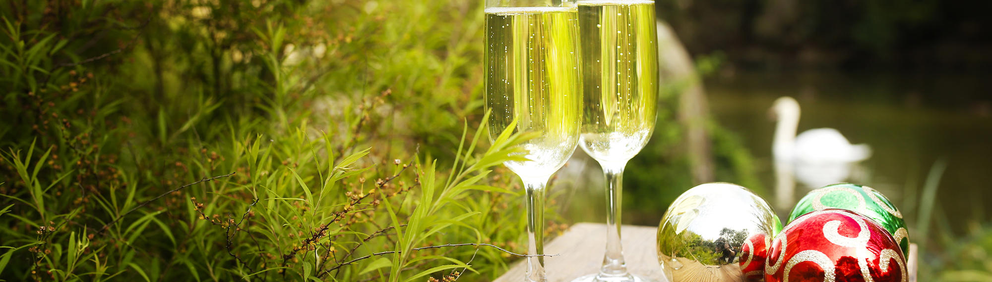 Close-up of two champagne flute-glasses and three metallic Christmas baubles on a small bench, in front of a pond with a swan facing left...