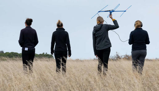 Four Zoos Victoria staff members at field doing research in a grassland beneath a white sky.
