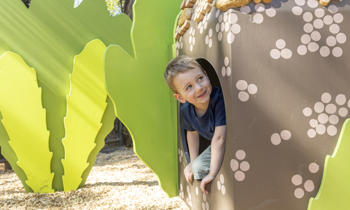 Young boy playing in newly constructed Banksia Grove and Nature Play playground space.