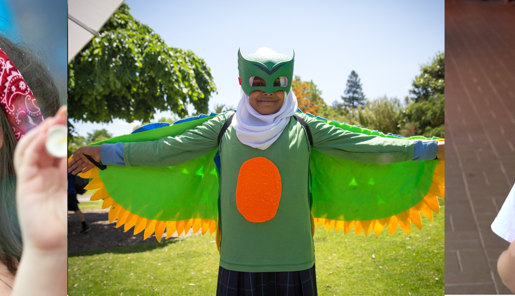  Collage of three images: left, two women blowing bubbles; centre, a student dressed as a green owl; right, a student wearing a t-shirt that says "Save the Baw Baw Frog" with her two thumbs up.